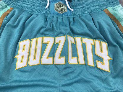 Charlotte Hornets Alternate Team Uniform NBA Style Shorts