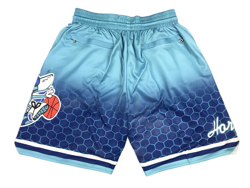 Charlotte Hornets Away Team Uniform NBA Style Shorts