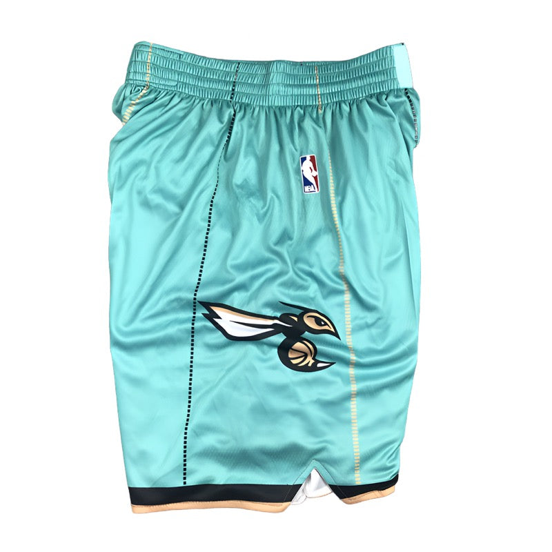 Charlotte Hornets Alternate Team Uniform NBA Style Shorts